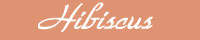 Schriftzug Hibiscus